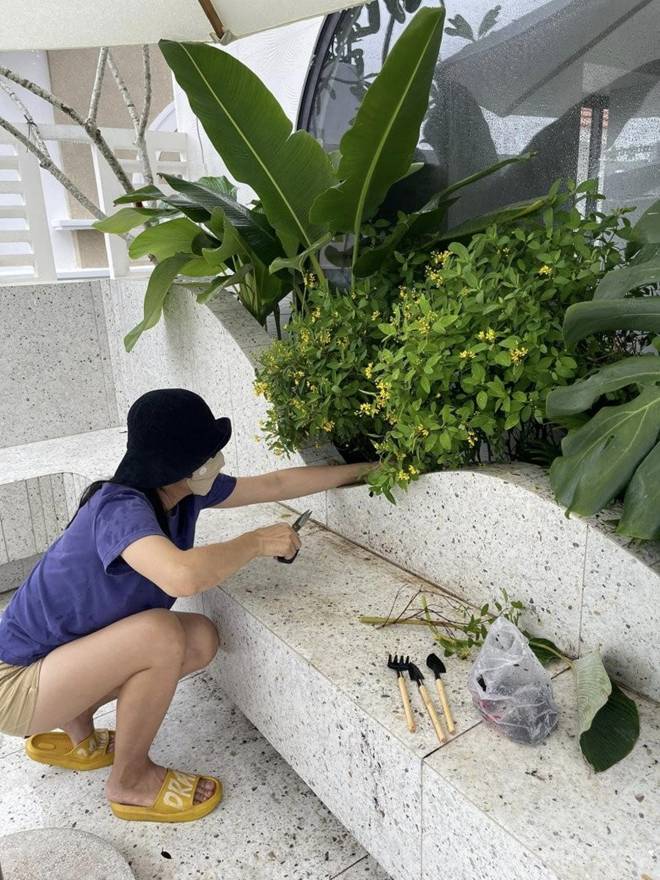 Vân Trang làm nông dân trong cơ ngơi rộng 1.000 m2, chở hơn 2 tấn đất từ quê lên Sài Gòn trồng cây-1