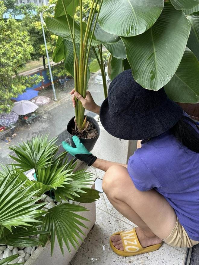 Vân Trang làm nông dân trong cơ ngơi rộng 1.000 m2, chở hơn 2 tấn đất từ quê lên Sài Gòn trồng cây-3