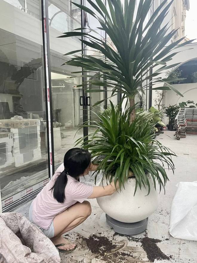 Vân Trang làm nông dân trong cơ ngơi rộng 1.000 m2, chở hơn 2 tấn đất từ quê lên Sài Gòn trồng cây-5