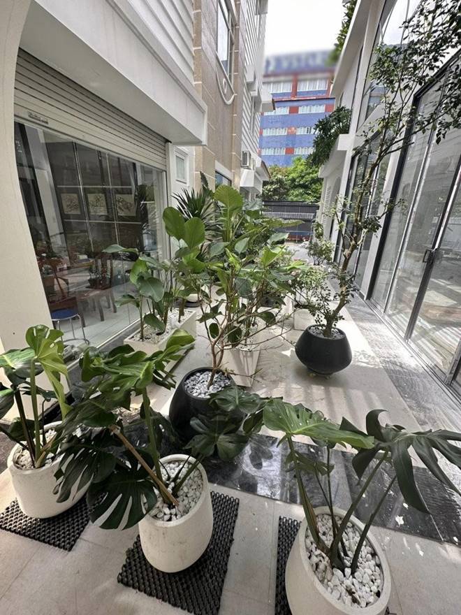 Vân Trang làm nông dân trong cơ ngơi rộng 1.000 m2, chở hơn 2 tấn đất từ quê lên Sài Gòn trồng cây-6