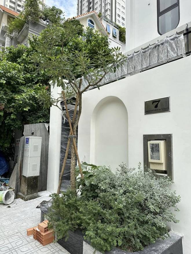 Vân Trang làm nông dân trong cơ ngơi rộng 1.000 m2, chở hơn 2 tấn đất từ quê lên Sài Gòn trồng cây-8