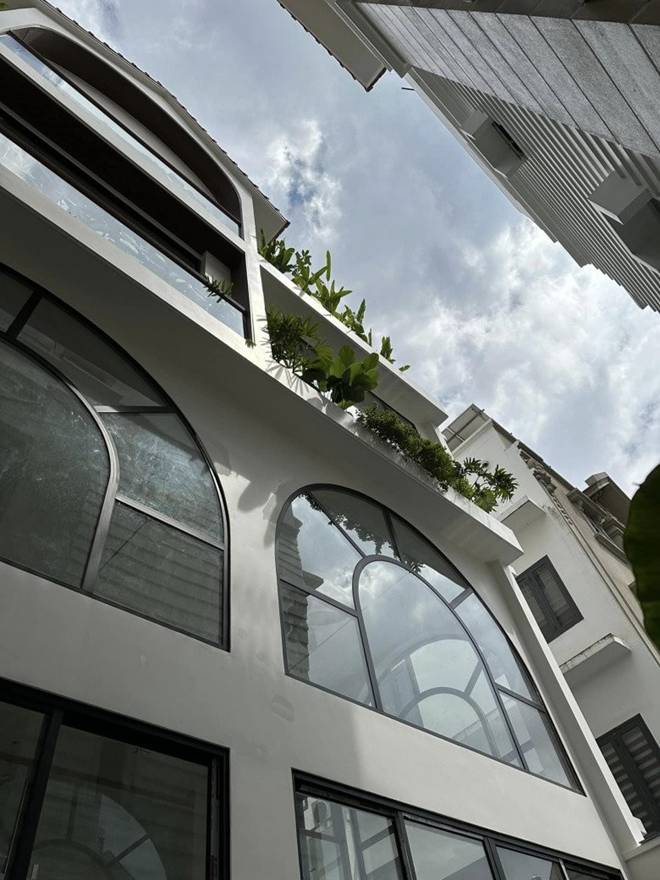 Vân Trang làm nông dân trong cơ ngơi rộng 1.000 m2, chở hơn 2 tấn đất từ quê lên Sài Gòn trồng cây-15