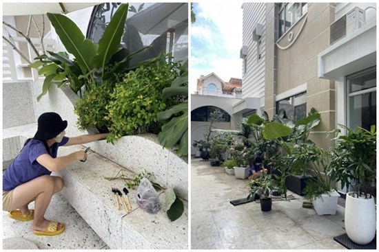 Vân Trang làm nông dân trong cơ ngơi rộng 1.000 m2, chở hơn 2 tấn đất từ quê lên Sài Gòn trồng cây
