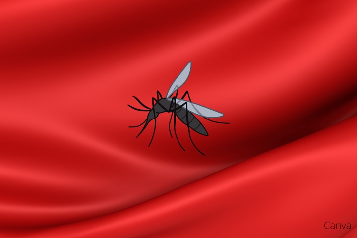 Mặc quần áo màu gì để không bị muỗi đốt?-1