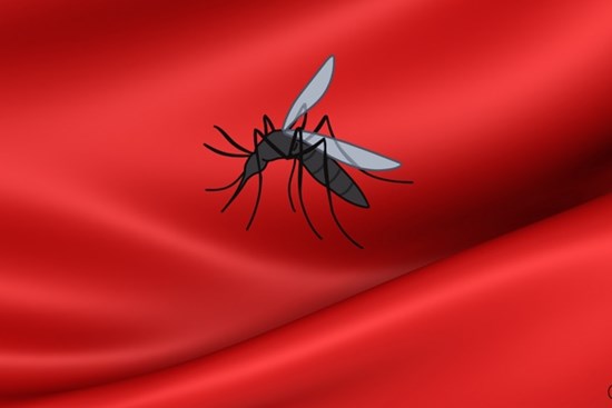 Mặc quần áo màu gì để không bị muỗi đốt?