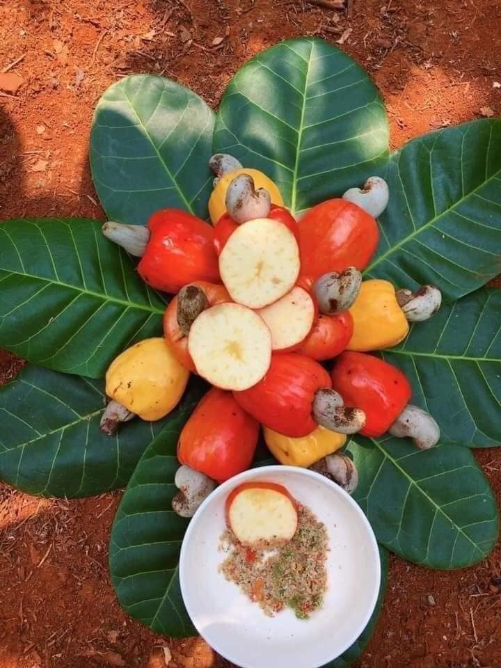 Thứ quả có hột nằm ngoài vỏ, trước chỉ vứt đi, nay mang bán tới tấp người mua-2