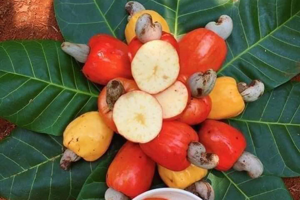 Rộ trend rau quả màu socola, ăn sống như trái cây-5