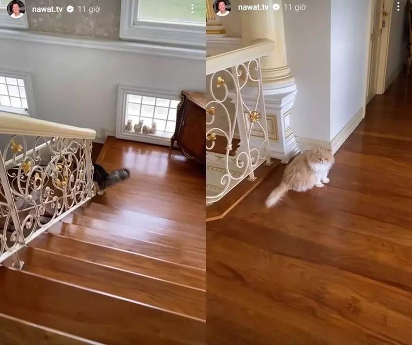 Biệt thự như cung điện hoàng gia của người đàn ông quyền lực đang dính lùm xùm với Hoa hậu Thùy Tiên-16