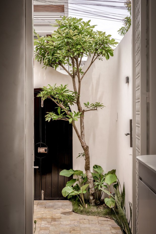 Ngôi nhà hình voi độc đáo sở hữu 7 khu vườn bên trong-3