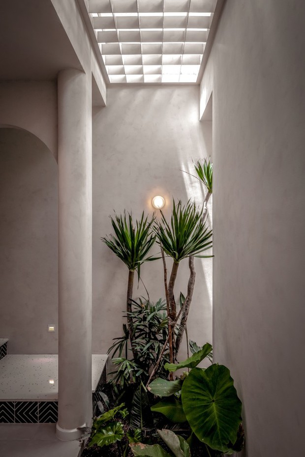 Ngôi nhà hình voi độc đáo sở hữu 7 khu vườn bên trong-4