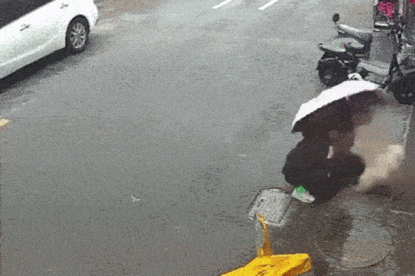 Hàng chục người bê ô tô giải cứu bé 4 tuổi-1