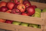 Phần hay bị bỏ đi của quả táo là kho vitamin và dưỡng chất quý-3