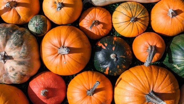 Chị em đi chợ vào mùa thu đừng quên mua 8 loại trái cây và rau củ cực tốt cho sức khỏe-2