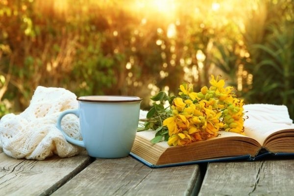 Tử vi ngày 14/10/2023: Tuổi Mão một phen lao đao, tuổi Tuất cống hiến hết mình-3