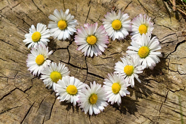 Từ 14/10 - 24/10, 3 con giáp này đổi vận giàu sang, gặp nhiều may mắn, tài lộc như mưa, đón Thần tài đến-4