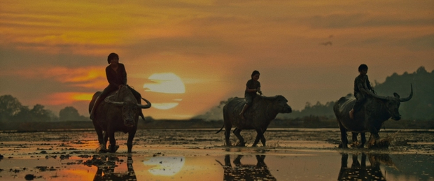 Đất Rừng Phương Nam: Cảm xúc lưng chừng như chính chiều sâu kịch bản-3