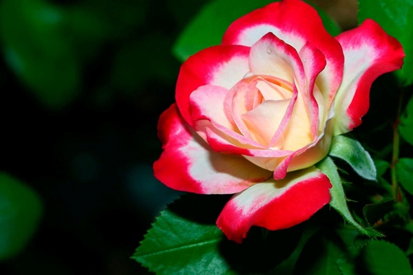 Năm 2024 đến gần, 3 con giáp rơi vào Thái Tuế, cẩn thận tiền bạc dễ đội nón ra đi-4