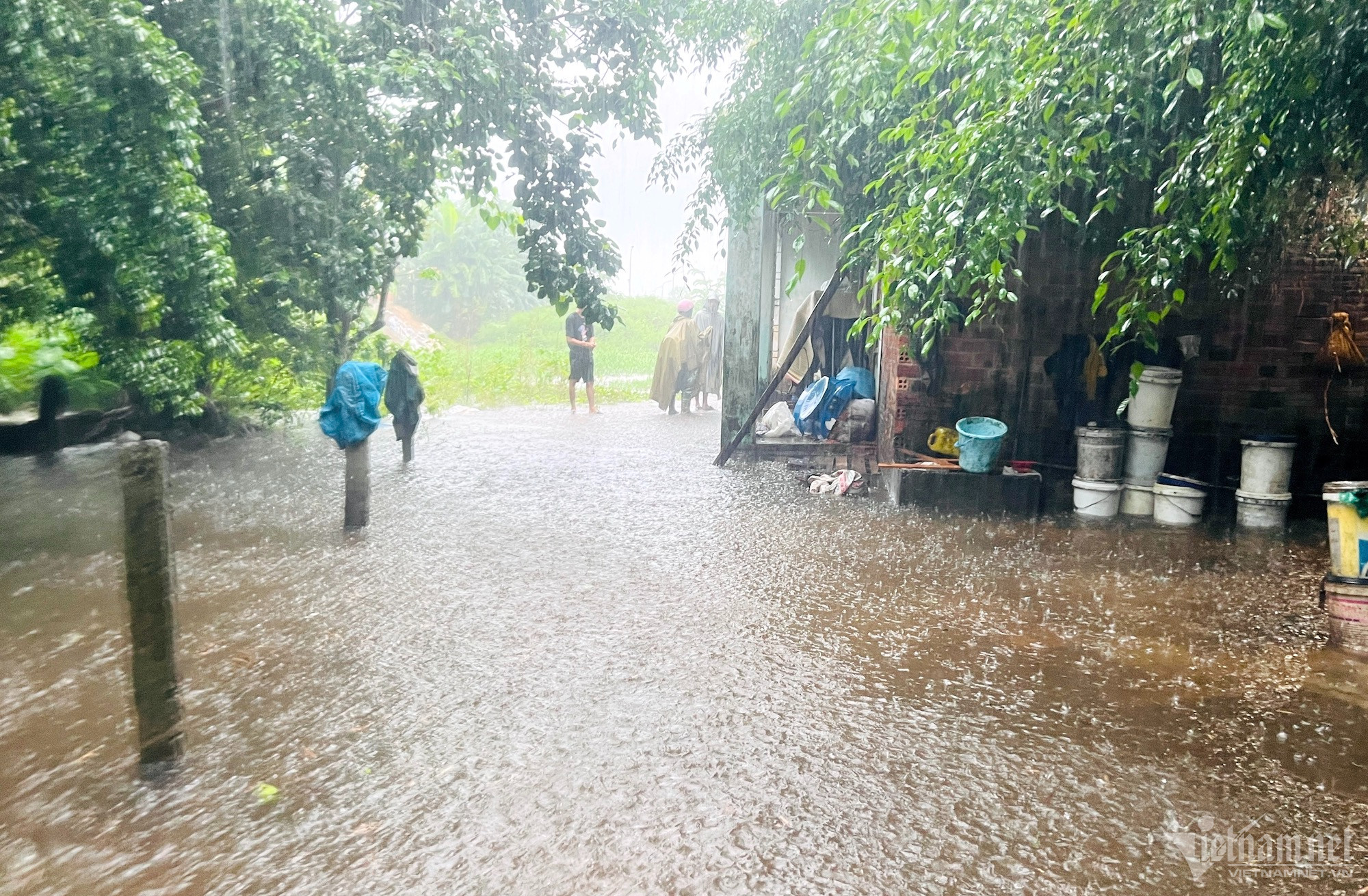 Mưa liên tiếp 3 ngày không ngớt, dân Quảng Nam lo chạy lụt-1
