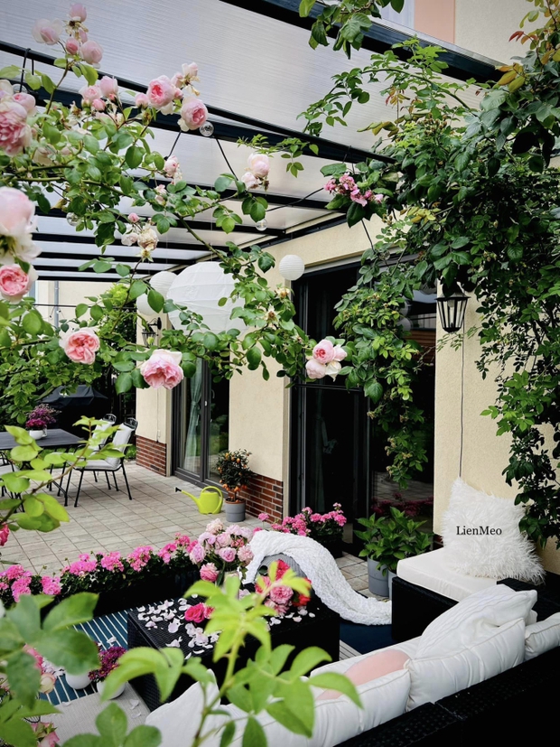 Khu vườn cổ tích của vợ chồng Việt sống tại Berlin: Chi 1 tỷ để hoàn thiện, quanh năm đủ loại hoa trái ăn không hết-3