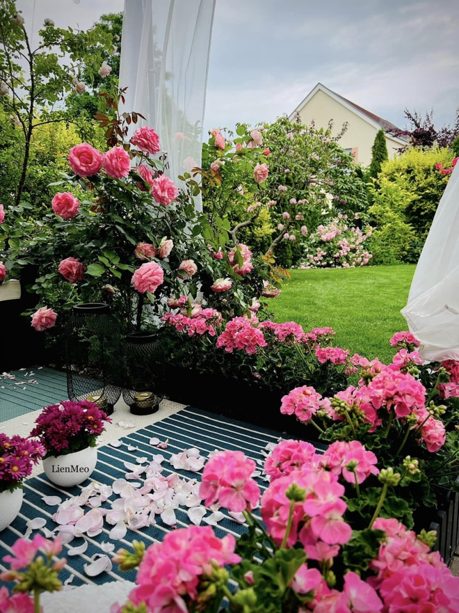 Khu vườn cổ tích của vợ chồng Việt sống tại Berlin: Chi 1 tỷ để hoàn thiện, quanh năm đủ loại hoa trái ăn không hết-5