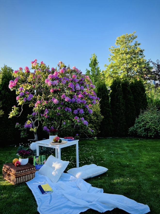 Khu vườn cổ tích của vợ chồng Việt sống tại Berlin: Chi 1 tỷ để hoàn thiện, quanh năm đủ loại hoa trái ăn không hết-6