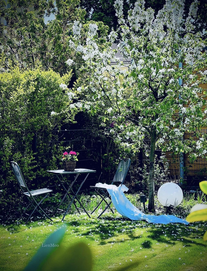 Khu vườn cổ tích của vợ chồng Việt sống tại Berlin: Chi 1 tỷ để hoàn thiện, quanh năm đủ loại hoa trái ăn không hết-7