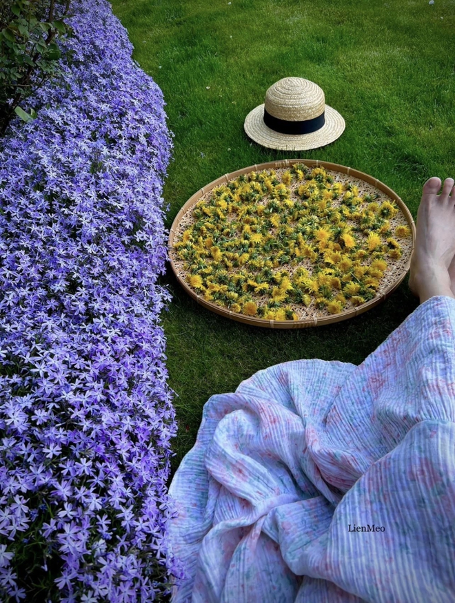 Khu vườn cổ tích của vợ chồng Việt sống tại Berlin: Chi 1 tỷ để hoàn thiện, quanh năm đủ loại hoa trái ăn không hết-15