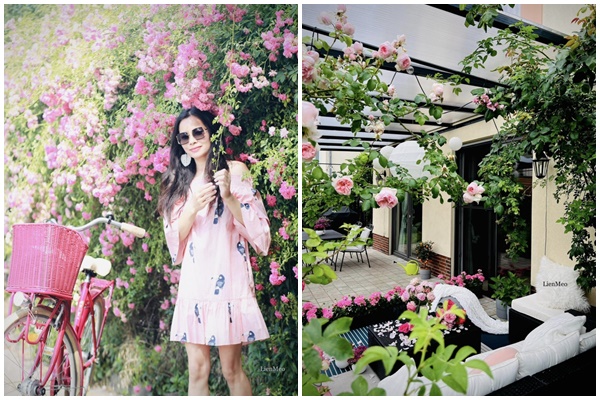 Quyết tâm không bỏ phí ban công dù nhỏ, cô giáo trẻ mát tay trồng được gần 100 chậu hoa khoe sắc-9