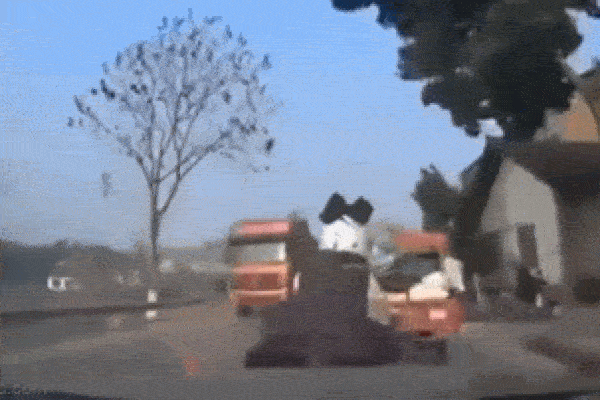 Clip: Bị tông trúng, cô gái ngã vào gầm xe tải và cái kết bất ngờ