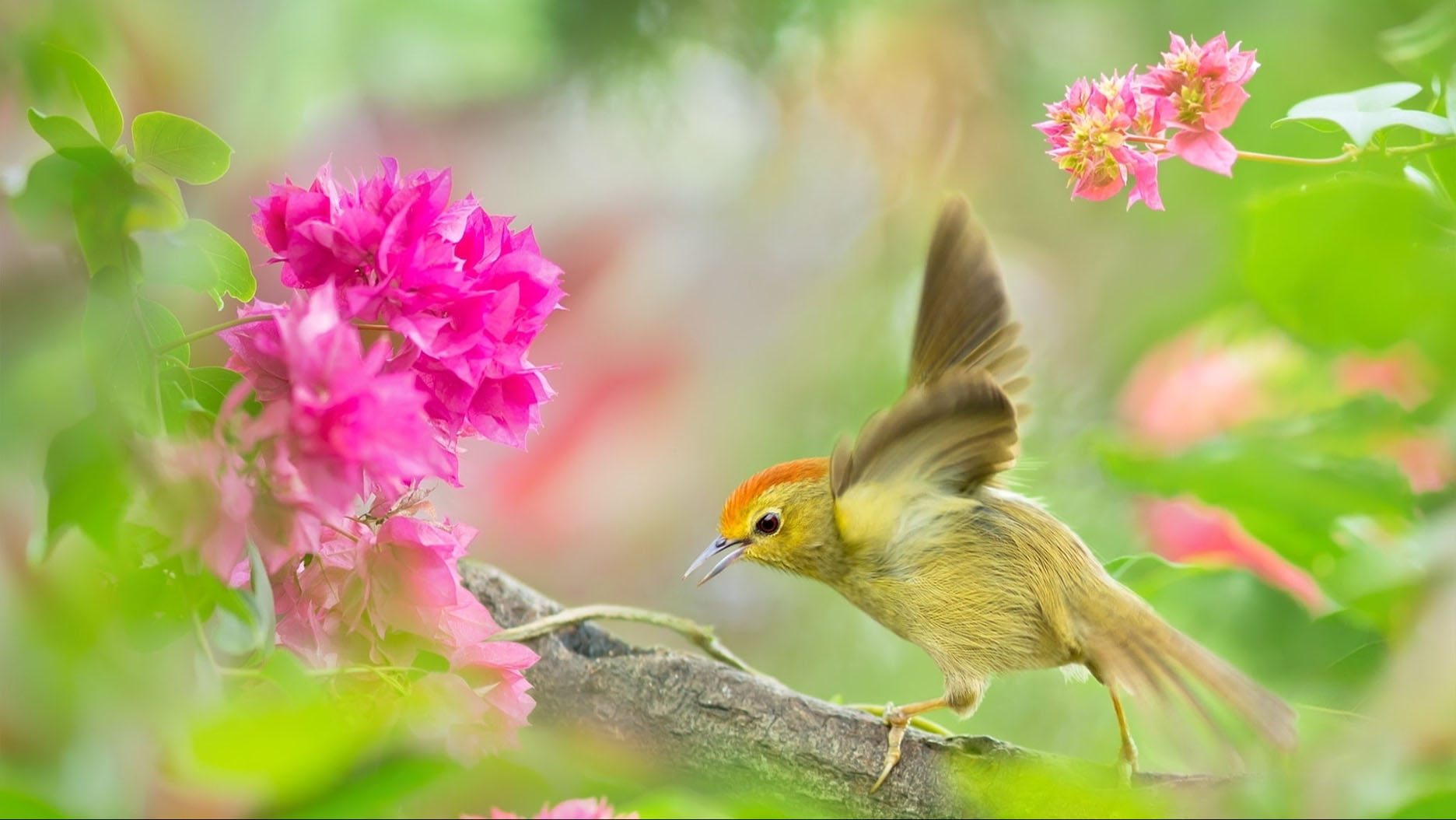 Khởi nghiệp suôn sẻ: 3 con giáp gặp nhiều may mắn, tràn ngập niềm vui trong tháng 10, tháng 11-3