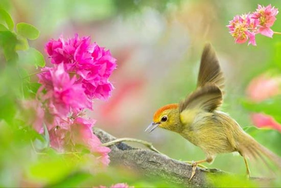 Khởi nghiệp suôn sẻ: 3 con giáp gặp nhiều may mắn, tràn ngập niềm vui trong tháng 10, tháng 11