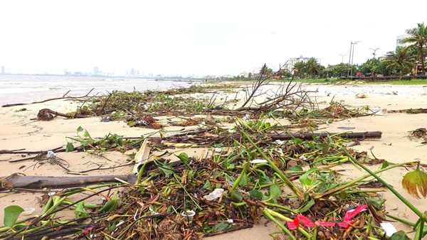 Chục tấn rác thải phủ kín vịnh Đà Nẵng sau mưa lũ-1