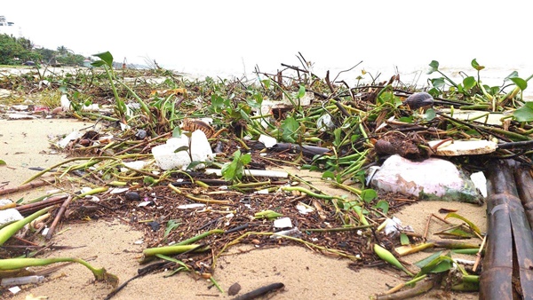 Chục tấn rác thải phủ kín vịnh Đà Nẵng sau mưa lũ-2