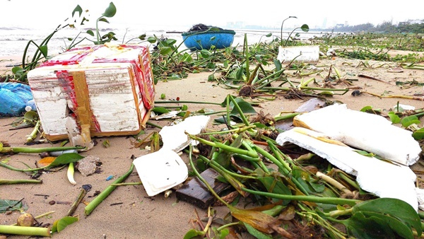 Chục tấn rác thải phủ kín vịnh Đà Nẵng sau mưa lũ-3