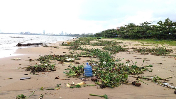Chục tấn rác thải phủ kín vịnh Đà Nẵng sau mưa lũ-5