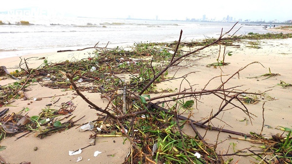 Chục tấn rác thải phủ kín vịnh Đà Nẵng sau mưa lũ-6