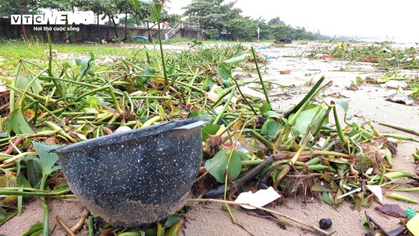 Chục tấn rác thải phủ kín vịnh Đà Nẵng sau mưa lũ-7