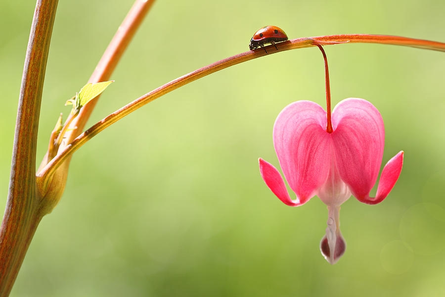 Vượt vũ môn thành công: Người sinh vào 4 ngày Âm lịch này tự tay lập nghiệp, hậu vận tiền bạc dư dả-2