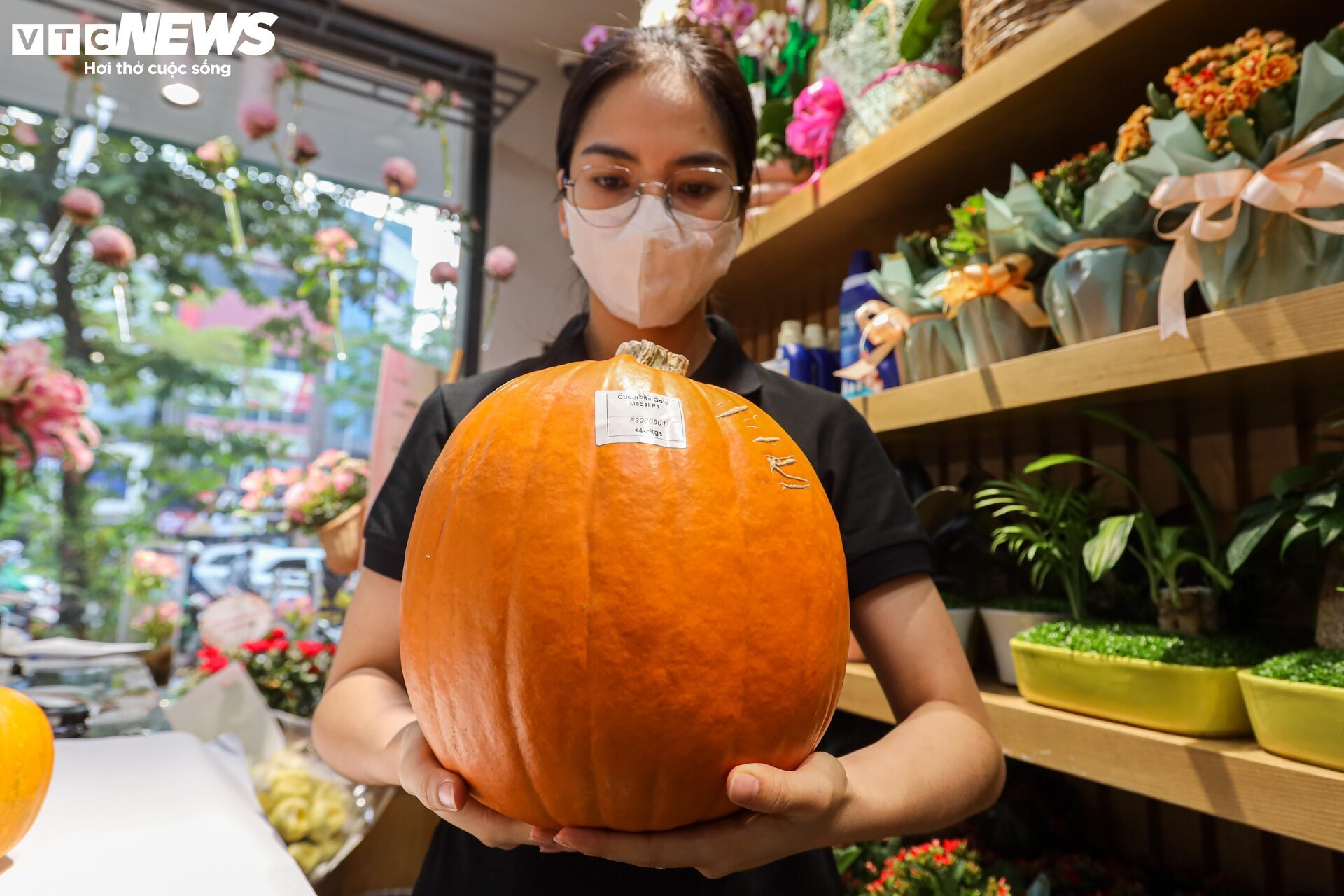 Khách lùng mua trang trí Halloween, bí ngô đủ loại cháy hàng-8