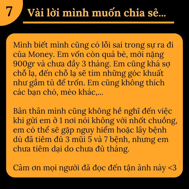 Cô gái bức xúc tố nơi trông giữ làm chết cún khi mới gửi 1 ngày, chủ cơ sở nói gì?-1