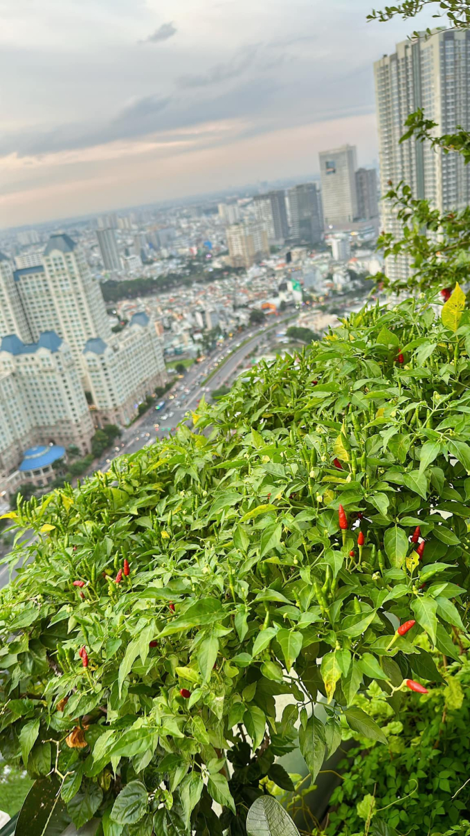 Penthouse triệu đô của CEO Hannah Olala có sương sương 5 sân thượng trồng cây, netizen tấm tắc: Mê cái cách yêu thiên nhiên của chị!-9