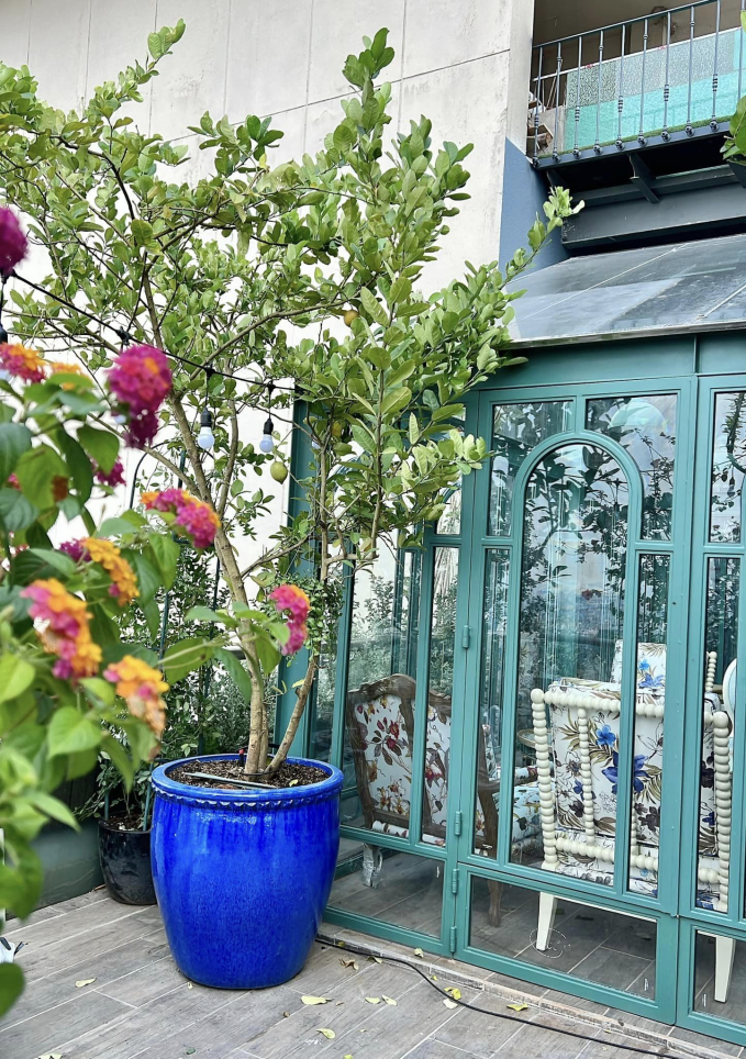 Penthouse triệu đô của CEO Hannah Olala có sương sương 5 sân thượng trồng cây, netizen tấm tắc: Mê cái cách yêu thiên nhiên của chị!-12