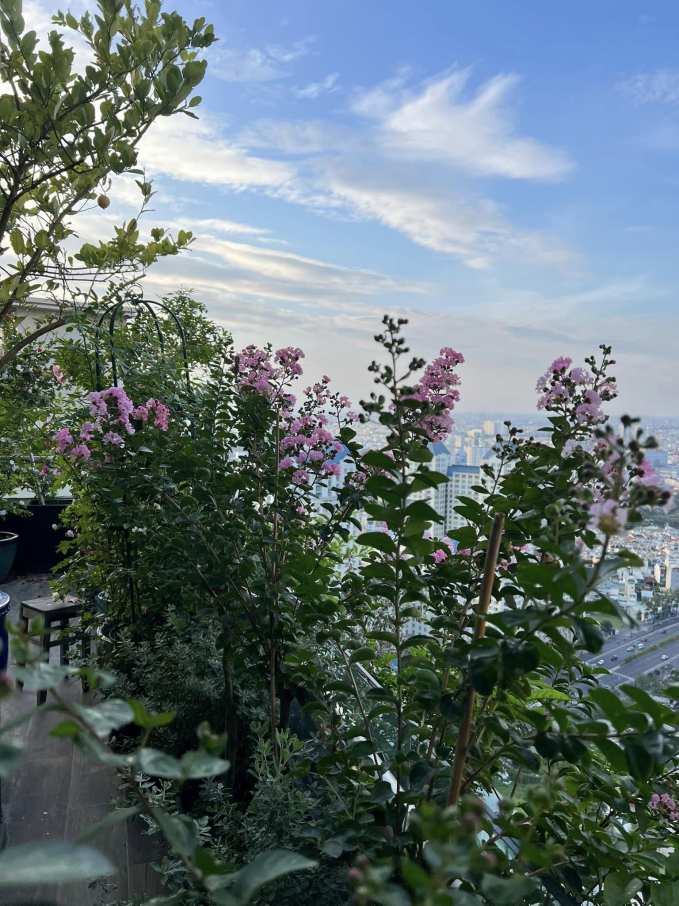 Penthouse triệu đô của CEO Hannah Olala có sương sương 5 sân thượng trồng cây, netizen tấm tắc: Mê cái cách yêu thiên nhiên của chị!-14