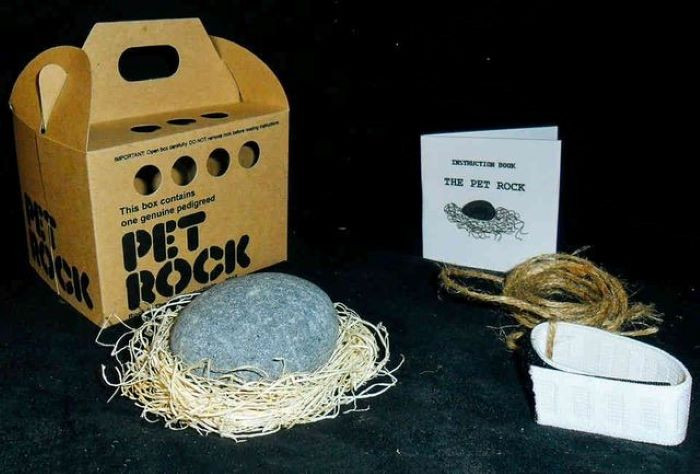 6 ý tưởng kinh doanh lạ đời giúp chủ kiếm triệu USD-2