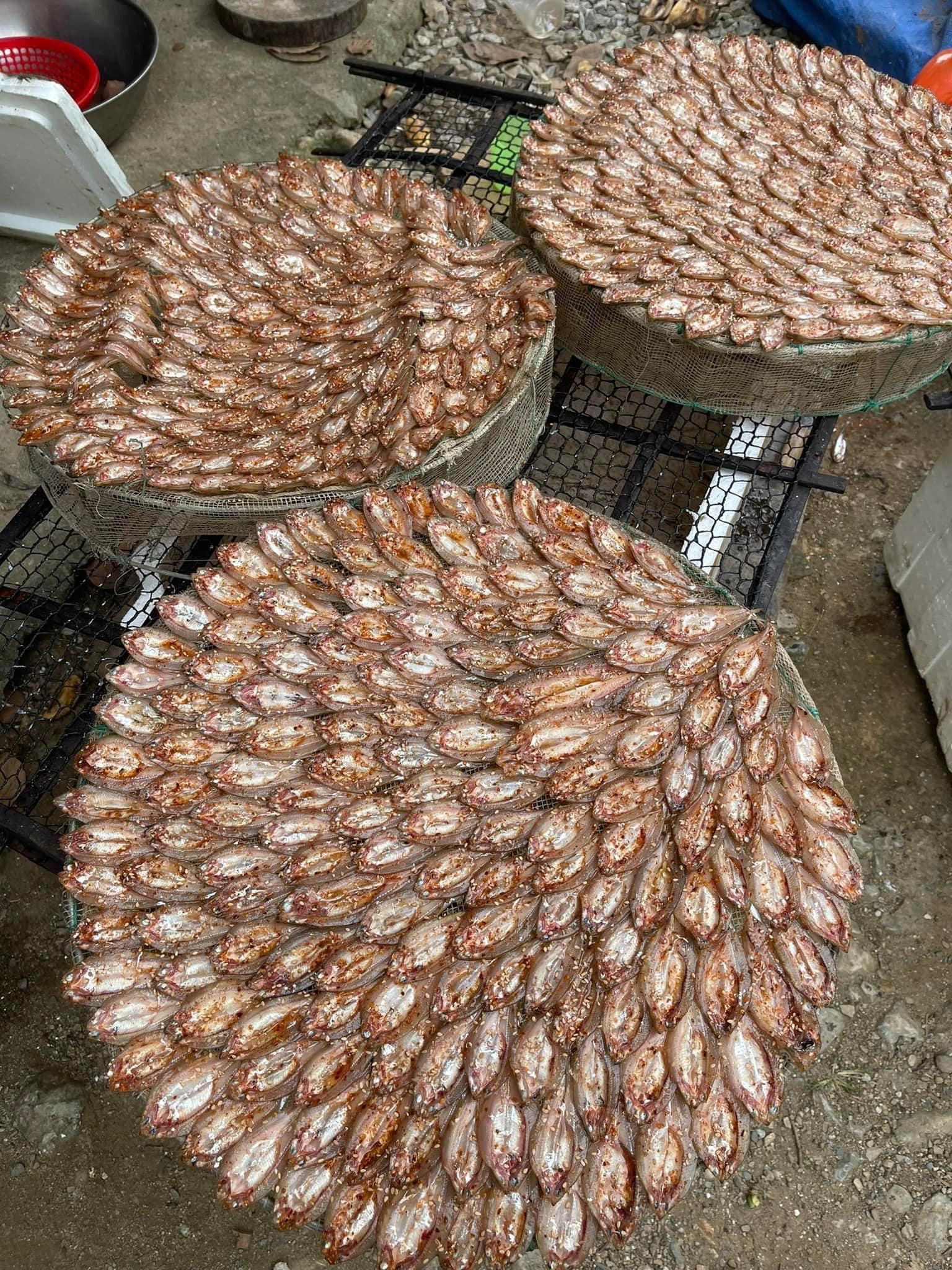 Loại cá xưa ít người biết, nay thành đặc sản giá đắt đỏ vẫn cháy” hàng-3