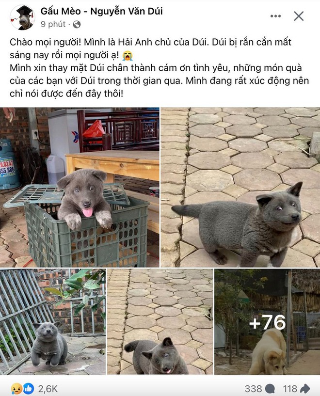 Chú chó Nguyễn Văn Dúi nổi tiếng một thời vừa qua đời-1