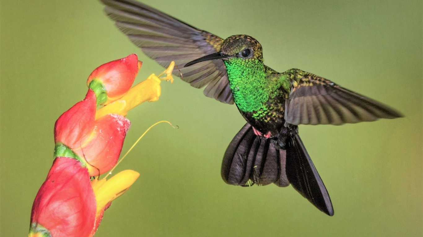 Bất kể thắng thua, 4 con giáp có thể cười lớn vào cuối năm 2023, phát tài phát lộc, đón Tết ấm no-2