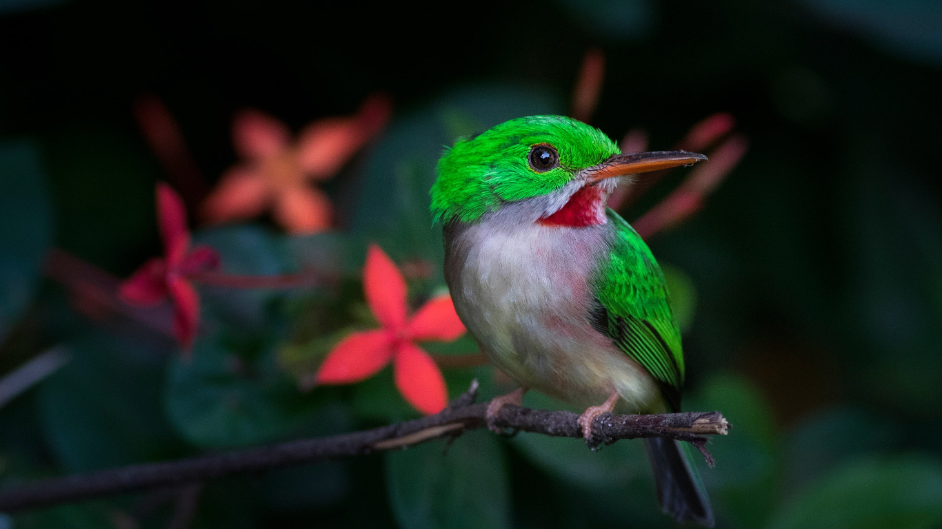 Bất kể thắng thua, 4 con giáp có thể cười lớn vào cuối năm 2023, phát tài phát lộc, đón Tết ấm no-3