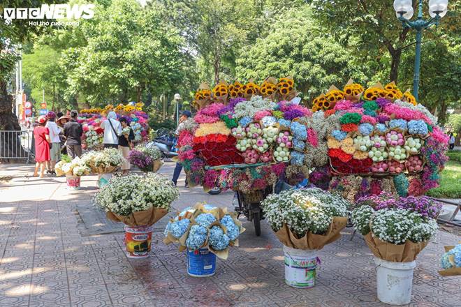 Giá hoa 20/10 giảm nhẹ, người bán không kịp ngơi tay-2