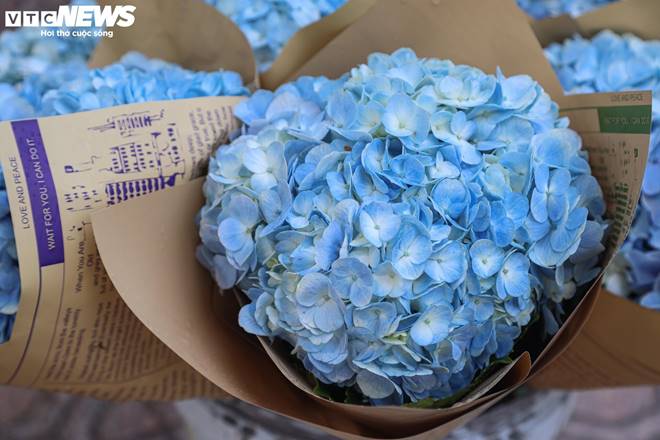 Giá hoa 20/10 giảm nhẹ, người bán không kịp ngơi tay-6